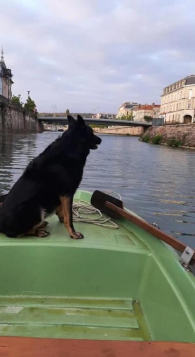 Le Gite Embarque - Gere Par Presta-Zen'Services - Barque Electrique En Supplement Verdun-sur-Meuse Ngoại thất bức ảnh